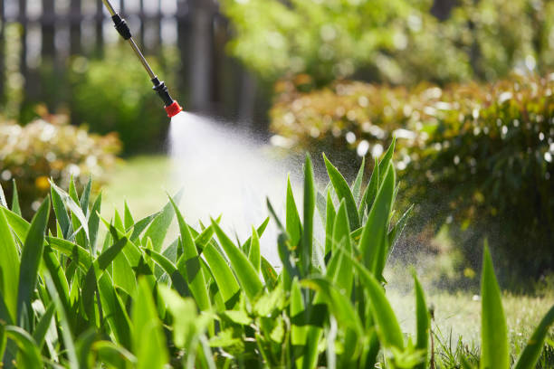 24/7 Emergency Mosquito Control experts in Talladega, AL