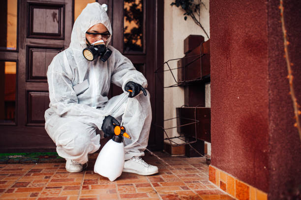 Reliable Mosquito Control contractor in Talladega, AL by Show Me Pest Control